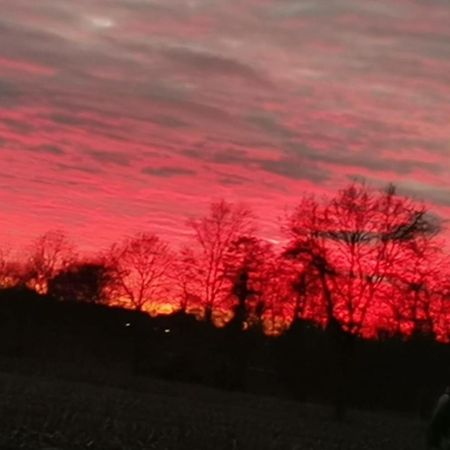 Ferienwohnung Aurich Ostfriesland Bagian luar foto