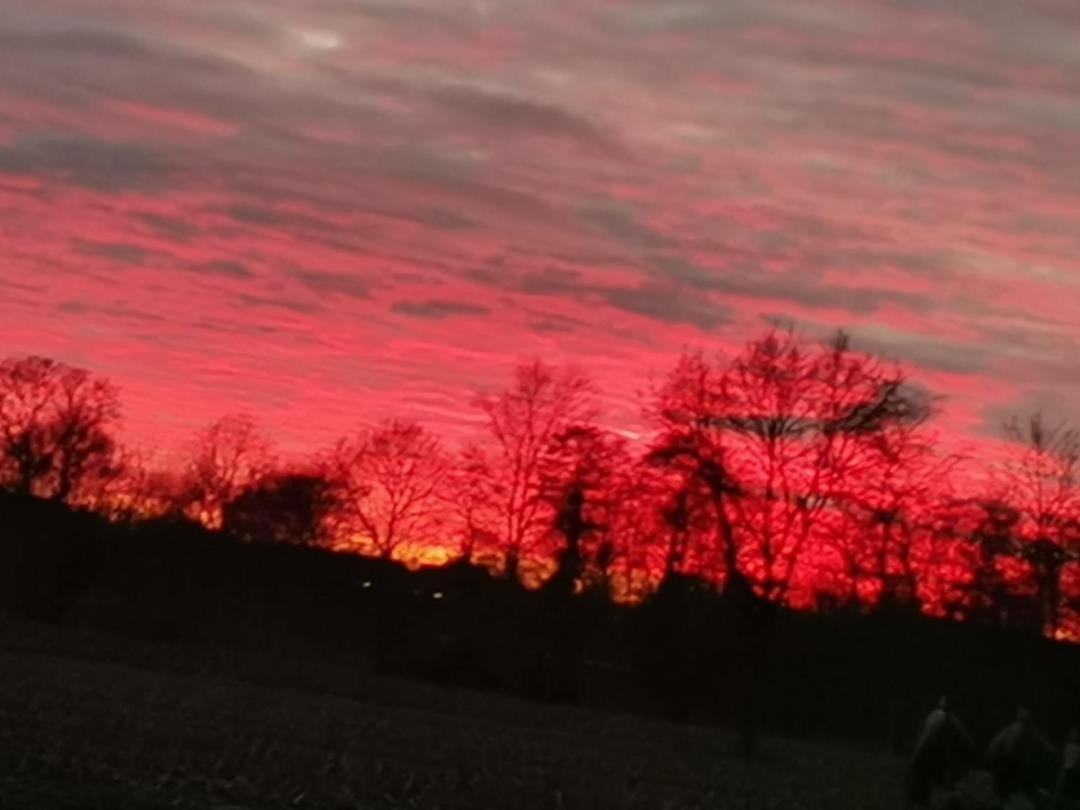 Ferienwohnung Aurich Ostfriesland Bagian luar foto