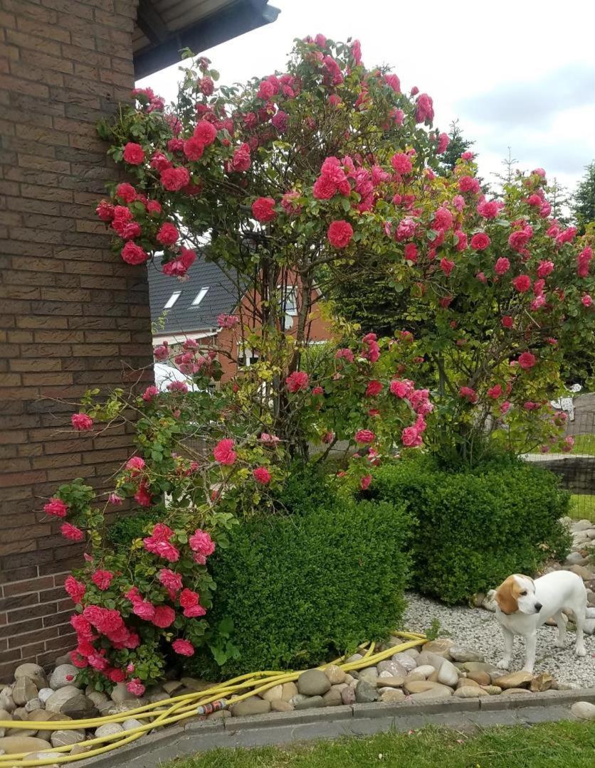 Ferienwohnung Aurich Ostfriesland Bagian luar foto